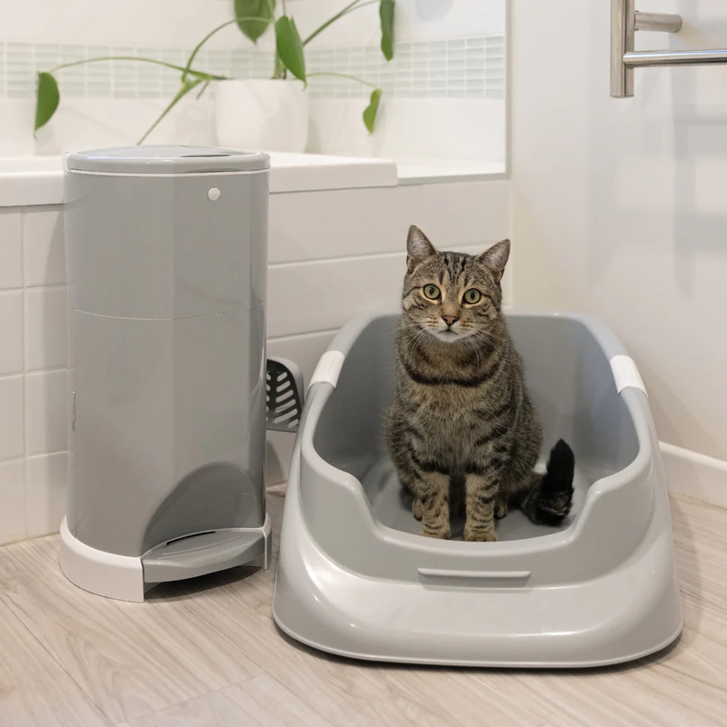 Litter & Waste Management