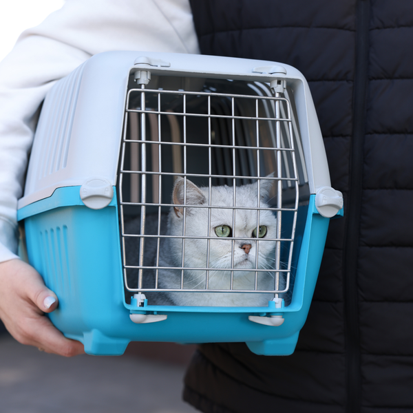 Travel Carriers & Crates