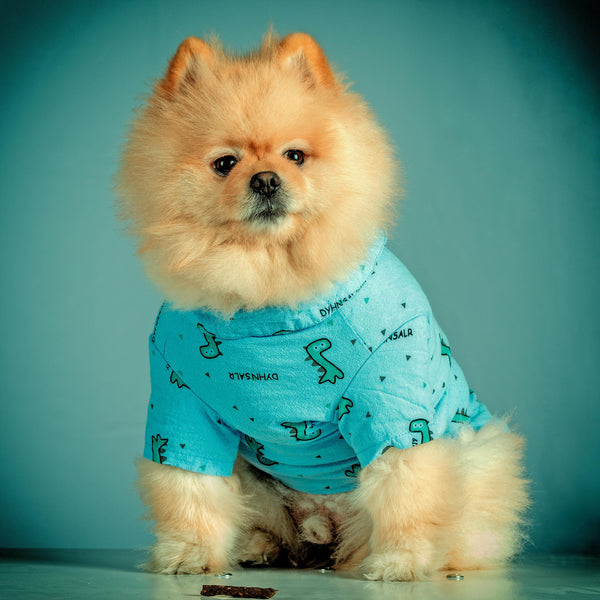 Pet Clothing & Accessories