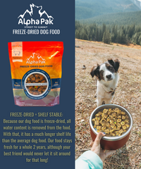 Premium Beef Freeze-Dried Raw Dog Food