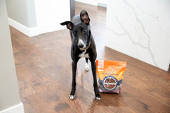 Premium Beef Freeze-Dried Raw Dog Food