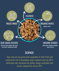 Premium Beef Freeze-Dried Raw Dog Food
