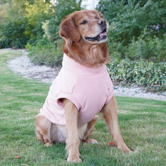 Pet Labrador Golden RetriWinter Pet Cotton Coat – Dog Clothes for Small Dogsever Dog Clothes Large Breed Winter Warm Pet Clothes European and American Cross-border Wholesale