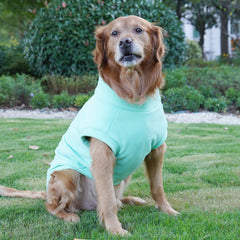 Pet Labrador Golden RetriWinter Pet Cotton Coat – Dog Clothes for Small Dogsever Dog Clothes Large Breed Winter Warm Pet Clothes European and American Cross-border Wholesale