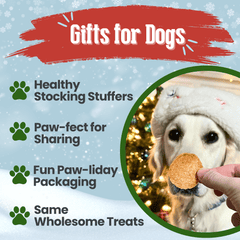 Holiday Chips Dog Treats - Chicken & Turkey 12oz
