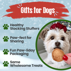 Holiday Chips Dog Treats - Chicken & Turkey 12oz