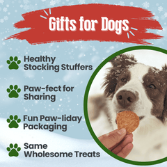 Holiday Chips Dog Treats - Chicken & Turkey 12oz