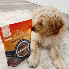 Premium Beef Freeze-Dried Raw Dog Food