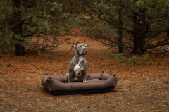 Chester & Lee | Waterproof Sleeper Dog Bed Brown